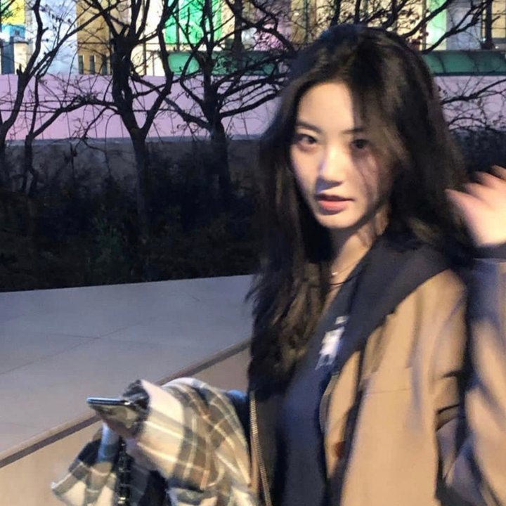 了不起的霍利迪夫人